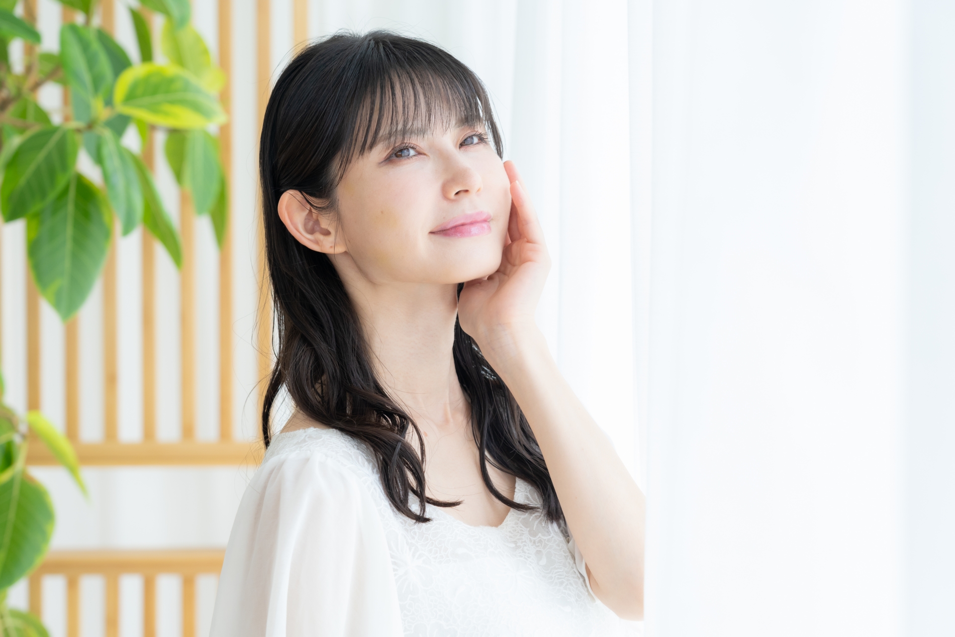 プラジュネーションとは?成分の特徴や効果、選び方を徹底解説